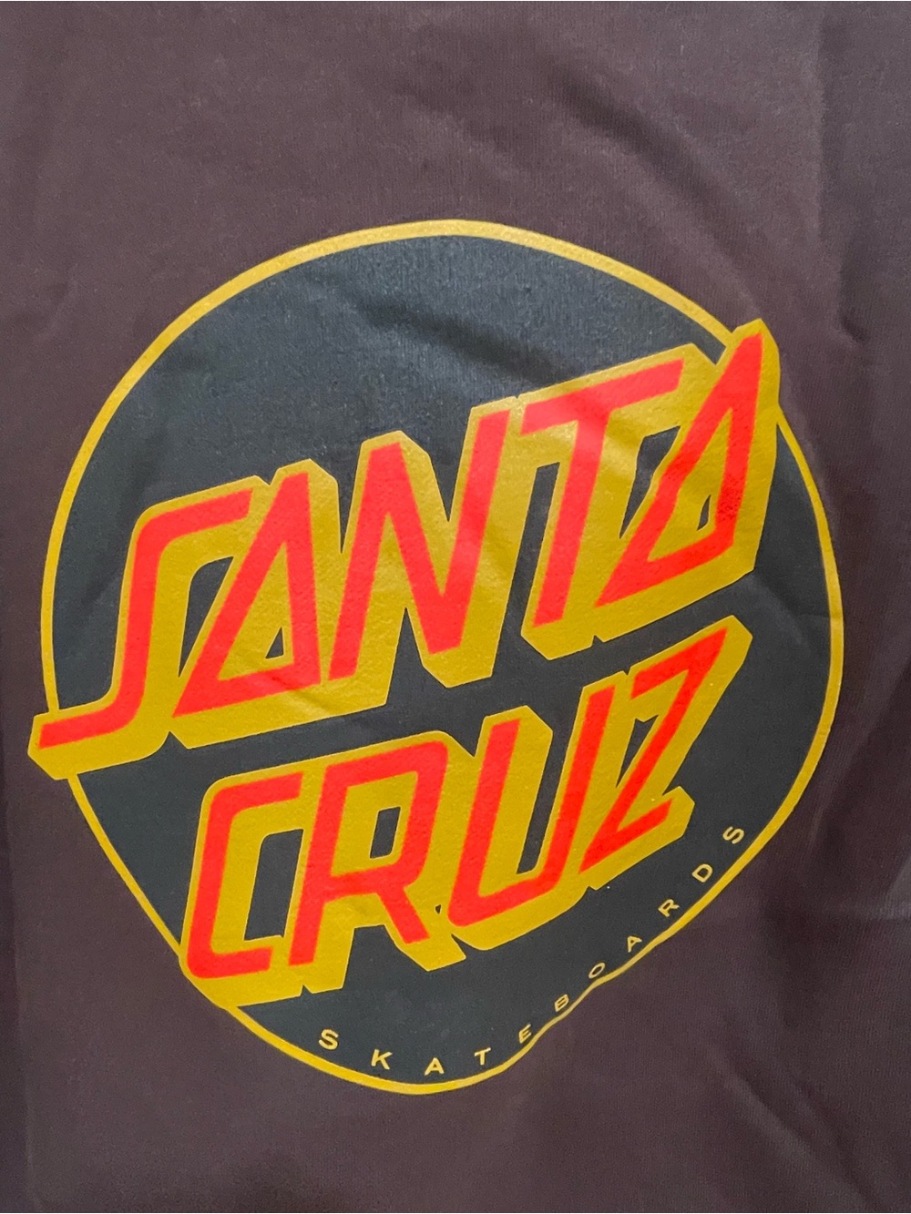 Santa Cruz Skateboards Brown Pullover Hoodie with Red & Yellow Logo - Picture 2 of 5